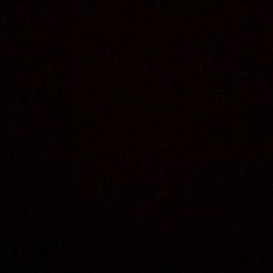 Meet your Posher, Celine